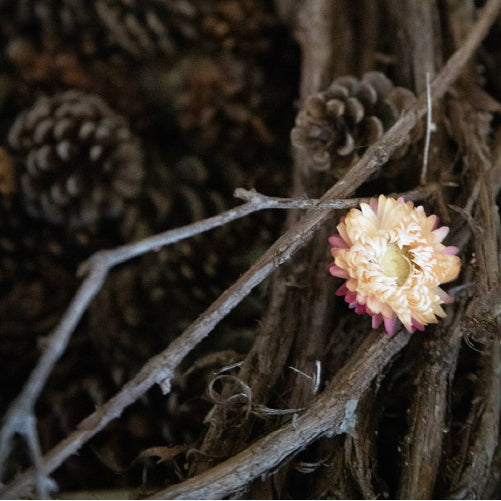 Seasonal Wreaths