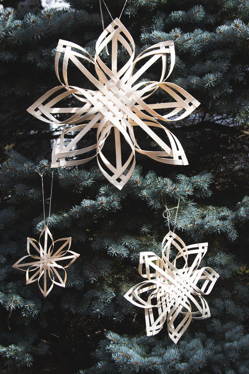 Solstice Star / Snowflake